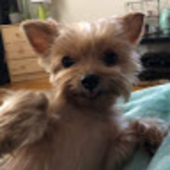 Meet your Posher, Elene - Picture 1 of 1